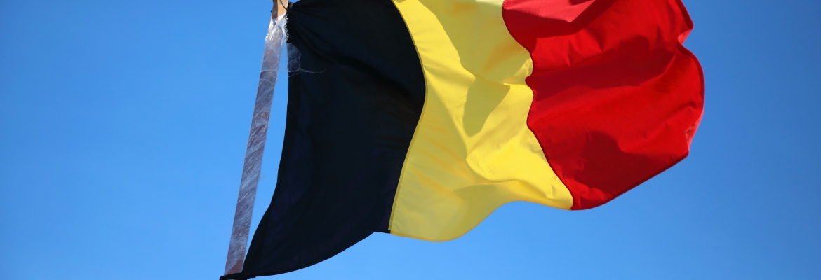 Belgia: zmasowane kontrole urzędów skarbowych w polskich firmach delegujących